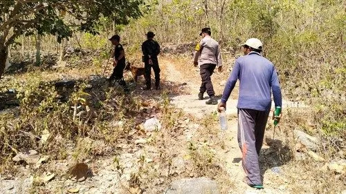 Pencarian Lansia Hilang di Nusa Penida Diperluas, Anjing Pelacak Dikerahkan